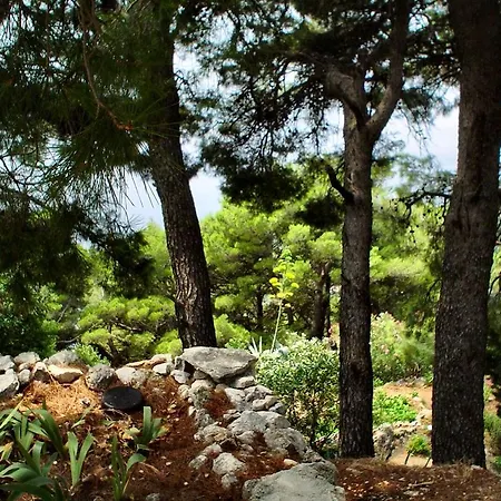 Gal * Podgora (Split-Dalmatia)