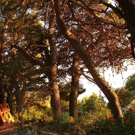 Gal * Podgora (Split-Dalmatia)