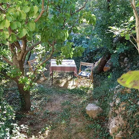 Apartment Gal Podgora (Split-Dalmatia)