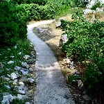 Gal * Podgora (Split-Dalmatia)