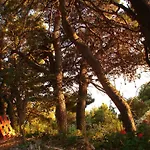 Gal * Podgora (Split-Dalmatia)