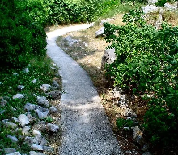 Gal * Podgora (Split-Dalmatia)