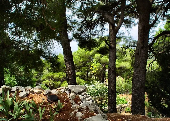 Gal * Podgora (Split-Dalmatia)