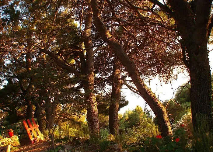 Gal * Podgora (Split-Dalmatia)